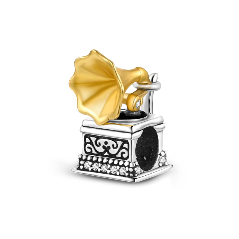 925 Silver Charms